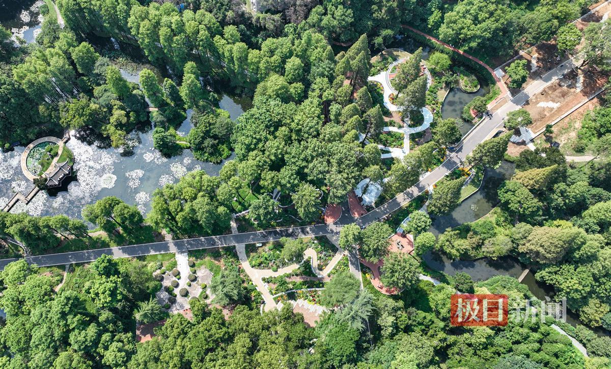 澳门白菜跳槽金活动